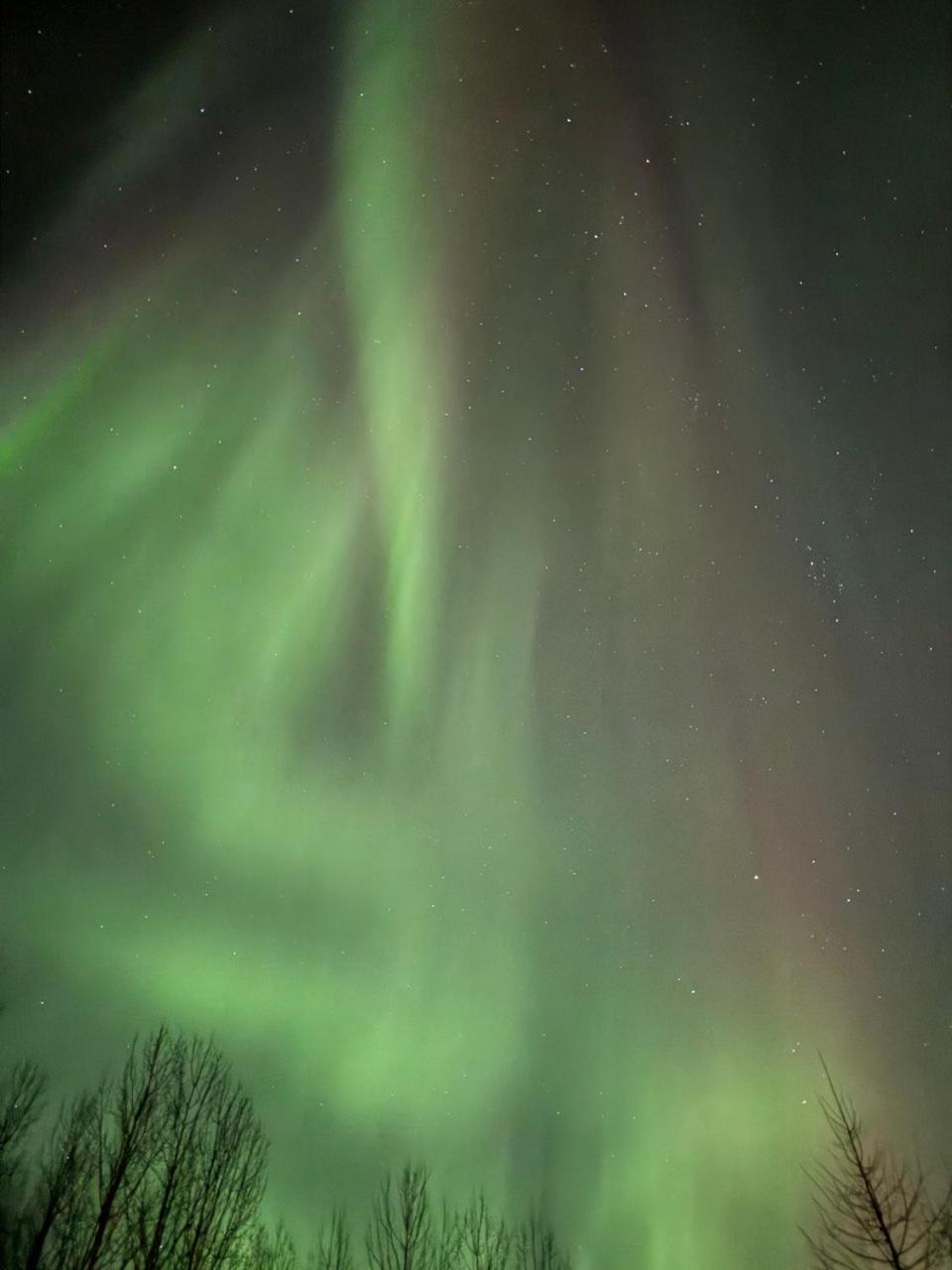 ホテル Lossisaari Tourist Center Keitele エクステリア 写真