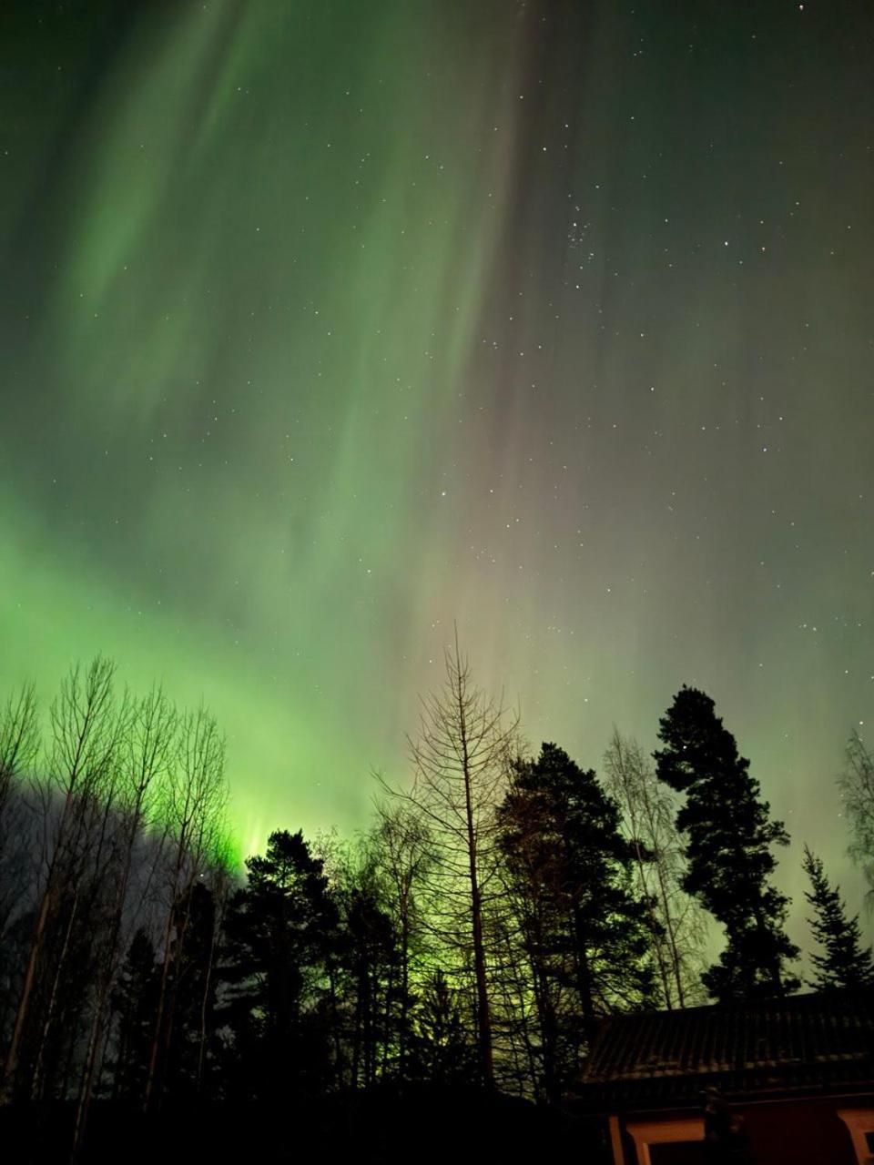 ホテル Lossisaari Tourist Center Keitele エクステリア 写真